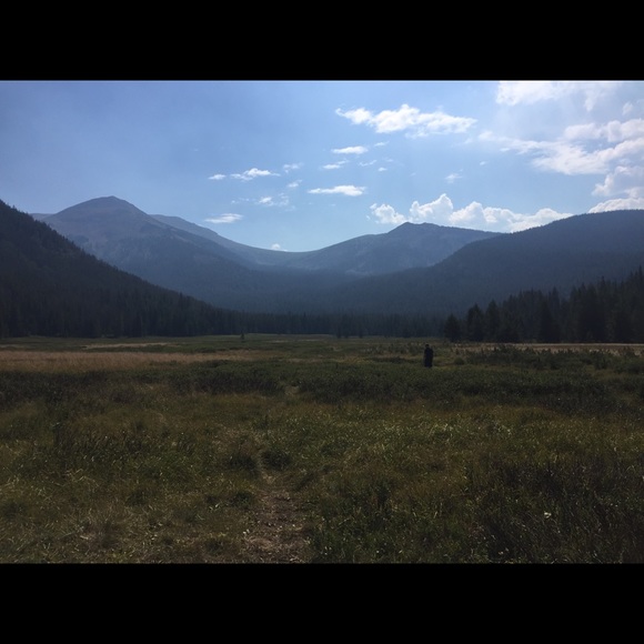 Meet your Posher, Caroline - Picture 1 of 1